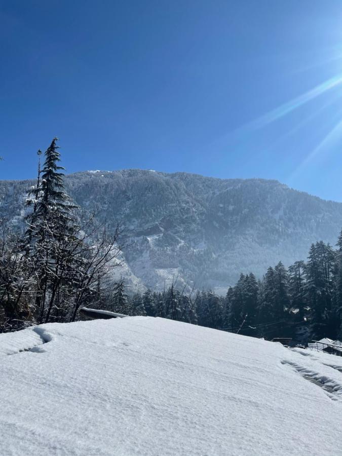 The Mad King'S House & Cafe Hotel Manali  Exterior photo